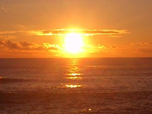 20130101kashima_ebi053