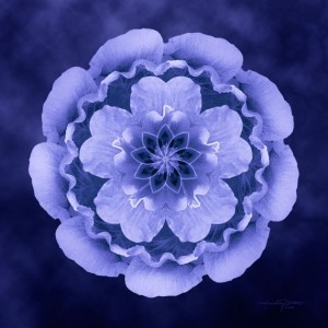 3aa54caa3d301550ed0dc654aa4470f7