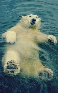 3d3b2f309f38d140636175c6cdb2ef9b