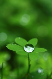 45698d0e42ba4aad156f325dfe85a24f