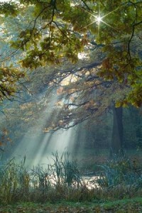 4670ca1f3a1f6531dabaea73e6907c2b