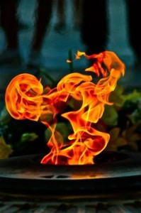 55e876e9bfd8a548fa3246496701920f