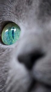 61d15c421e68fb1205076053c8ef37fb