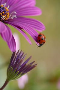 7139e562185e84c145c10737ce1a50bb