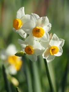 90dda1e9be64b55773256894c6e24cc9