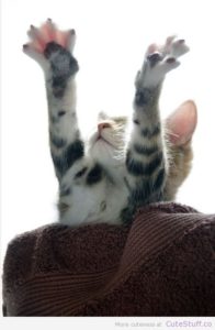 a1fadd24bba9c08e35a733911b45b6be