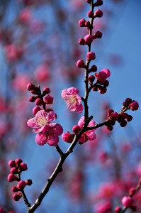 a6d9bdd08bbc5c83619c99ea37378d18