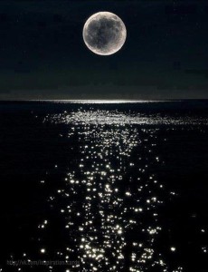 a99a88448095baa4182f8ae938a50d5b