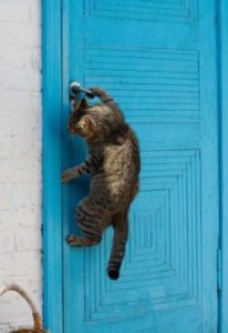 af24fe55e830eb4e0c0d61ca1dfbfb99