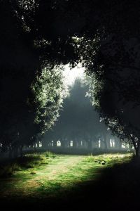 c273e53416cb1b1a1f09f316dc246edf