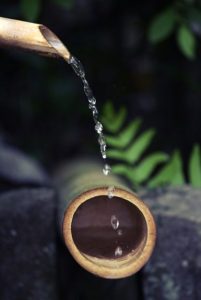 d9903f40a41c9e249be30417ec4887a1