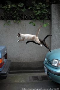 da7cf073ff326d58051af1af1a3819f2