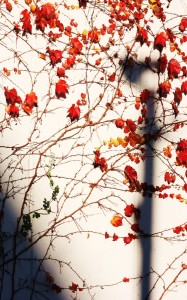 f3d17edec45399381d728cdfb18dcc02_l