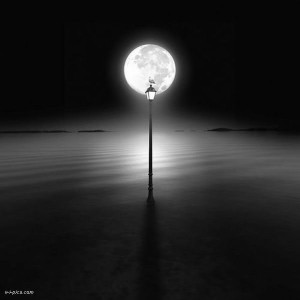 fd97379f2c5beef48c5ee277e877dd0f