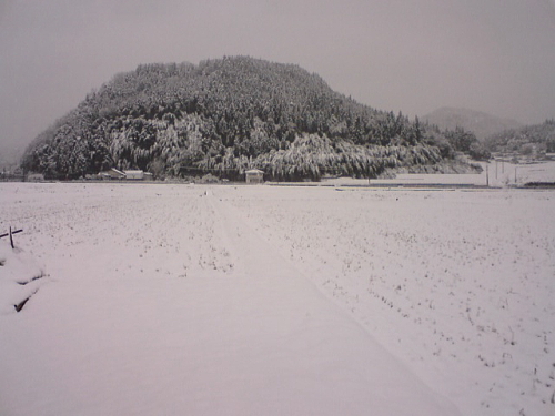 冬至　雪下出麦