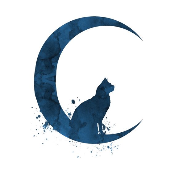 肯定　7月8日〜7月14日