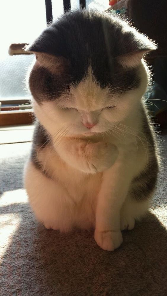 信頼　3月7日〜13日